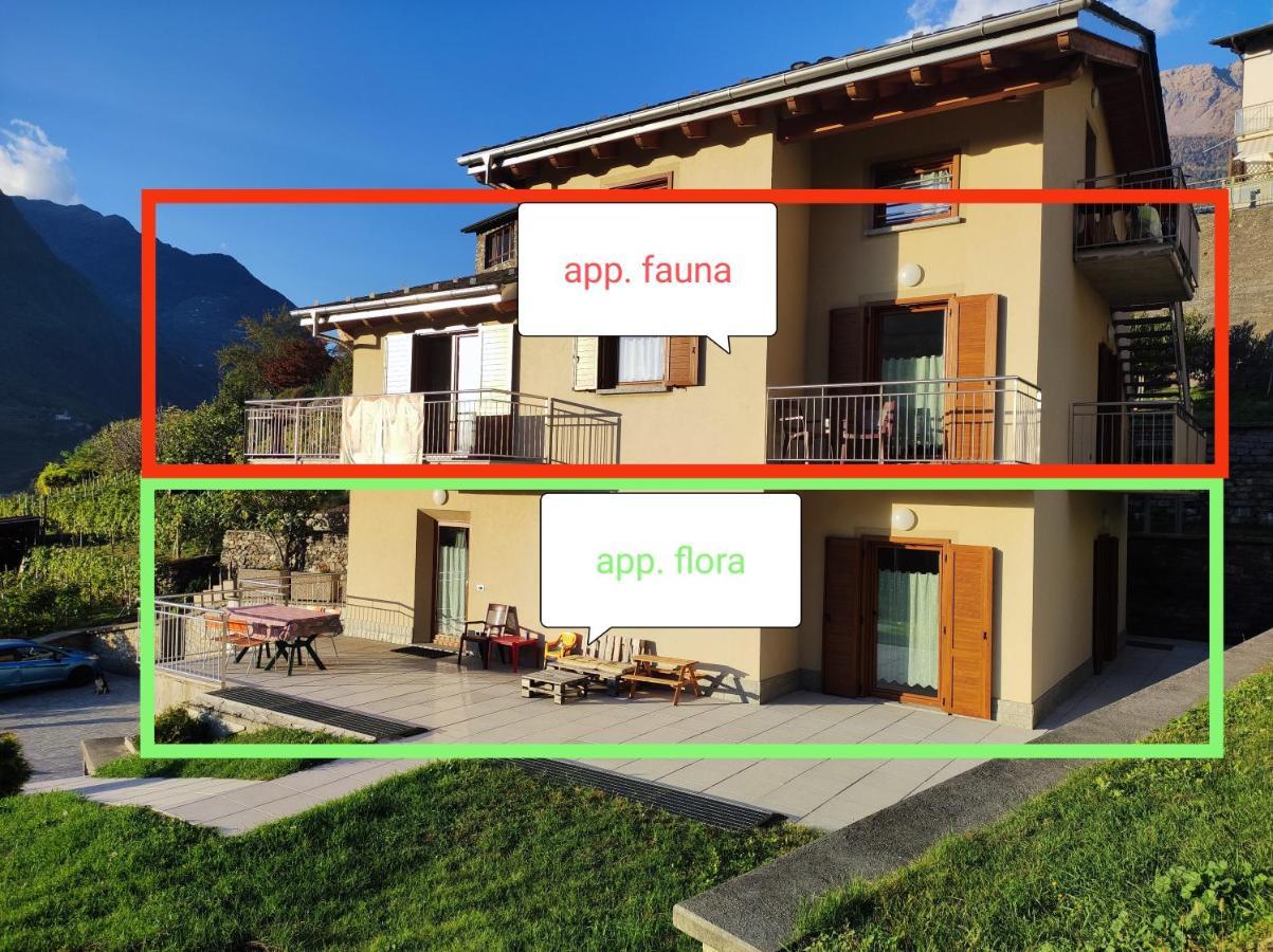 Pisolo Selvaggio Apartamento Tirano Exterior foto