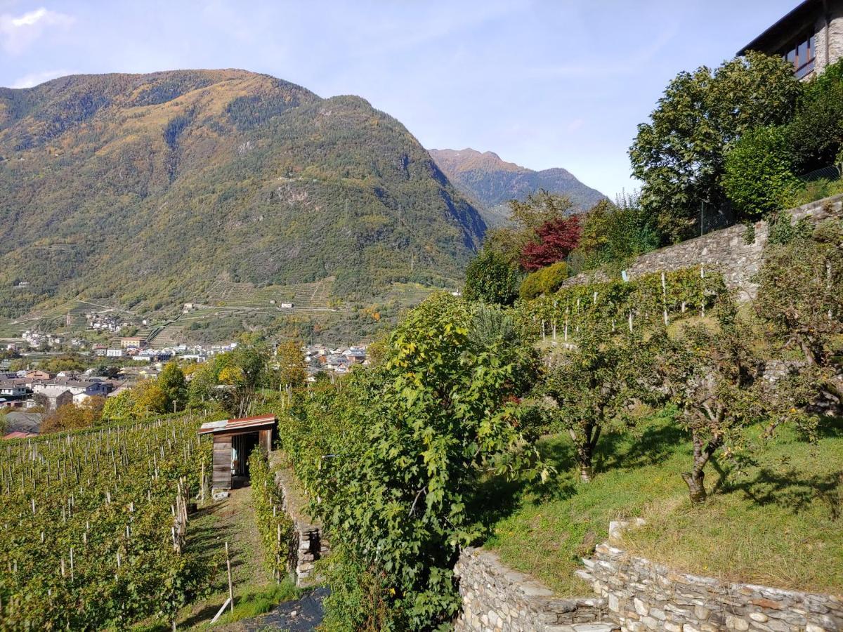 Pisolo Selvaggio Apartamento Tirano Exterior foto